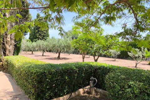 Villa i Yecla, Murcia, Yecla - € 325.000 | Ref: SF0534 - foto 35